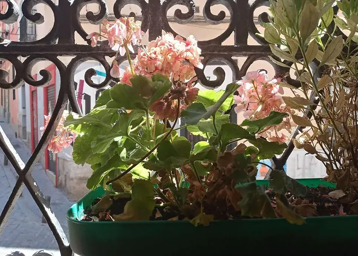 Apartamento Lavapies Al Lado Del Rastro