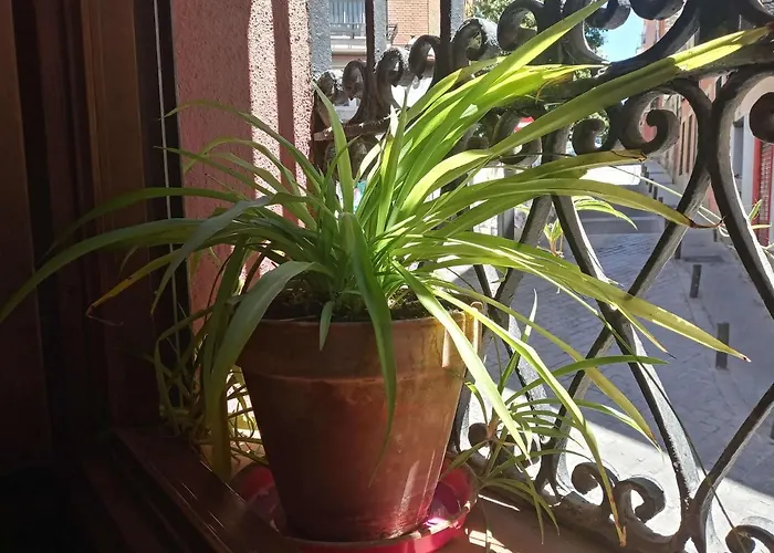 Apartamento Lavapies Al Lado Del Rastro